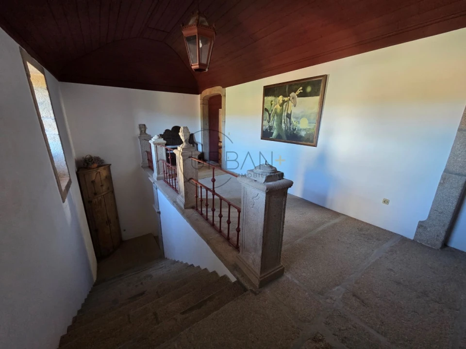 Quinta T21 para Venda em Mangualde, Mesquitela e Cunha Alta Foto 46