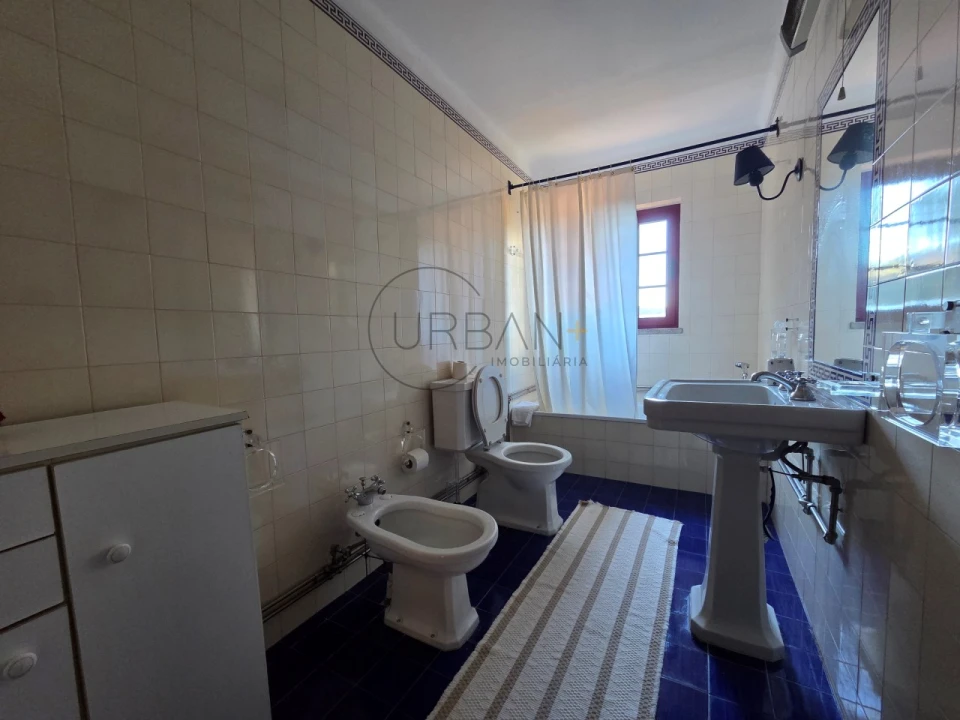 Quinta T21 para Venda em Mangualde, Mesquitela e Cunha Alta Foto 53