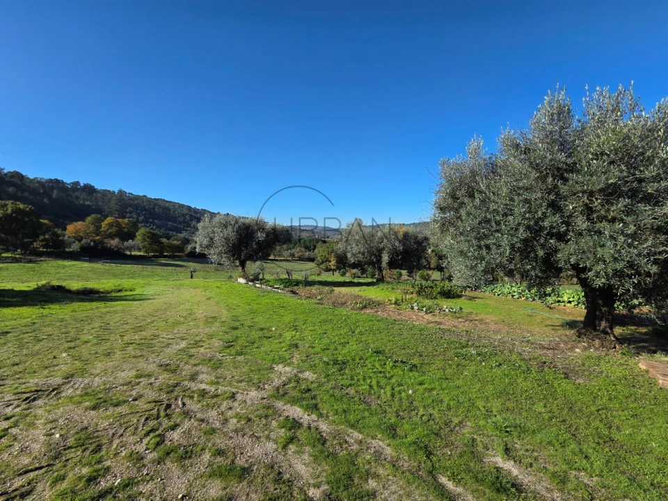 Quinta T21 para Venda em Mangualde, Mesquitela e Cunha Alta Foto 77