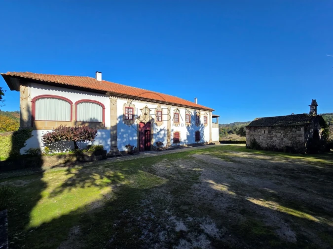 Quinta T21 para Venda em Mangualde, Mesquitela e Cunha Alta Foto 2