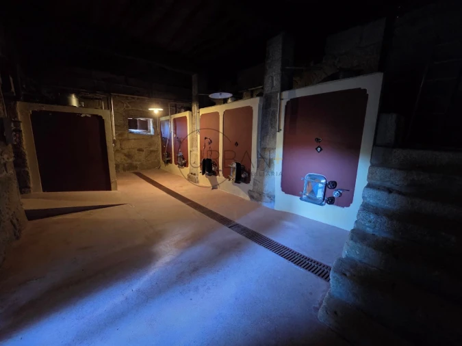 Quinta T21 para Venda em Mangualde, Mesquitela e Cunha Alta Foto 12