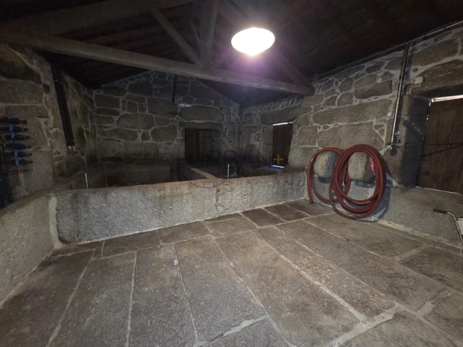 Quinta T21 para Venda em Mangualde, Mesquitela e Cunha Alta Foto 13