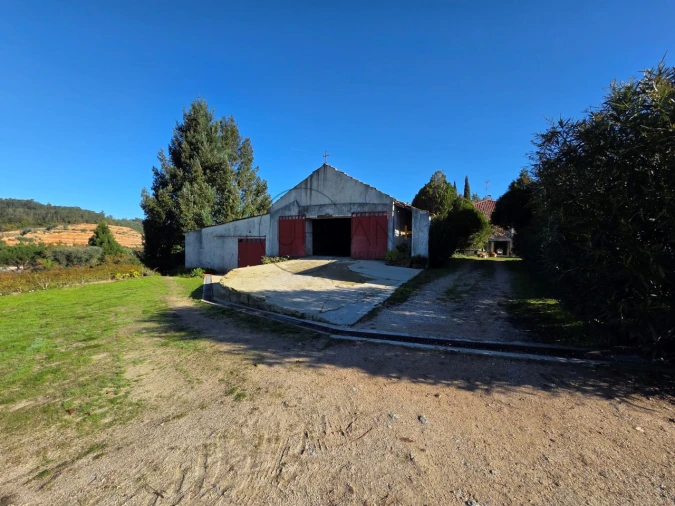 Quinta T21 para Venda em Mangualde, Mesquitela e Cunha Alta Foto 74