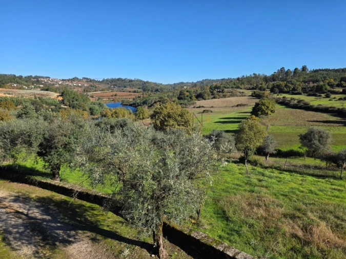 Quinta T21 para Venda em Mangualde, Mesquitela e Cunha Alta Foto 21