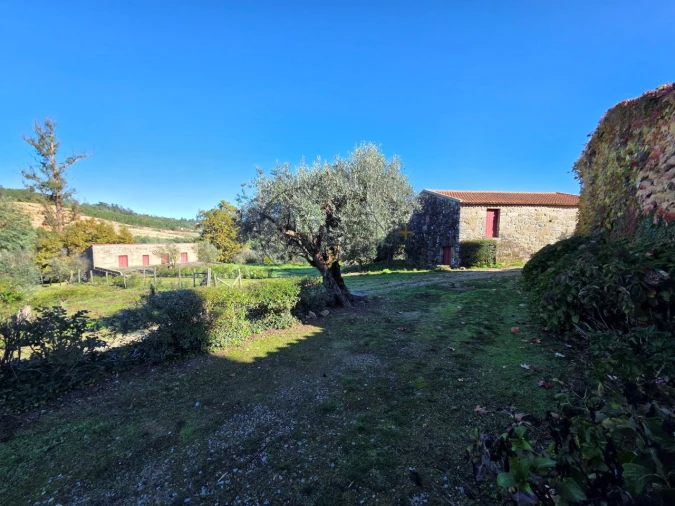 Quinta T21 para Venda em Mangualde, Mesquitela e Cunha Alta Foto 22