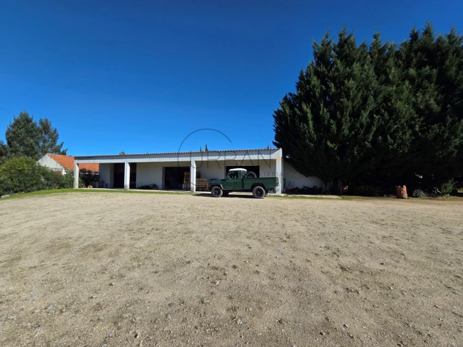 Quinta T21 para Venda em Mangualde, Mesquitela e Cunha Alta Foto 75