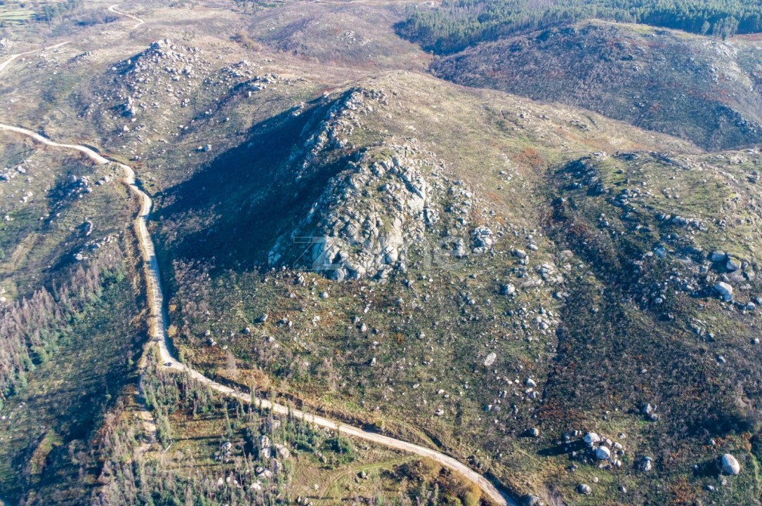 Terreno para Venda em Várzea, Aliviada e Folhada Foto 1