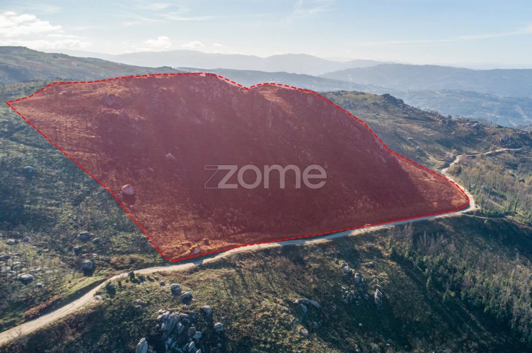 Terreno para Venda em Várzea, Aliviada e Folhada Foto 4