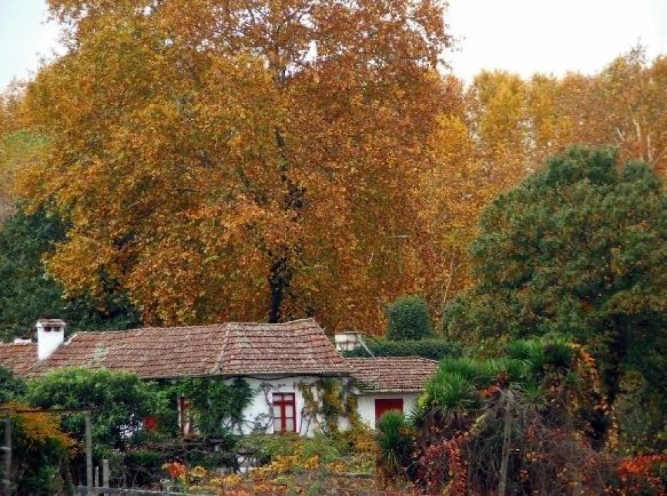 Quinta T2 para Venda em Penafiel Foto 2