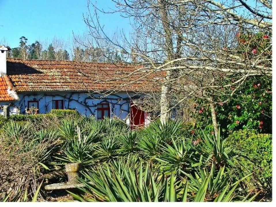 Quinta T2 para Venda em Penafiel Foto 4