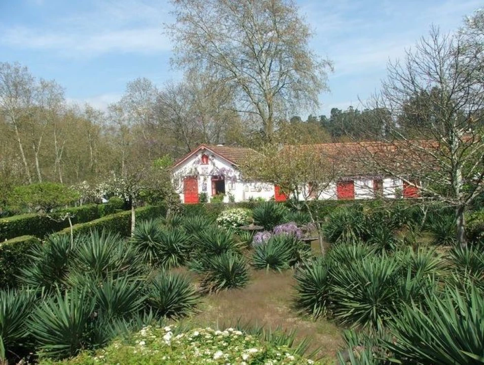 Quinta T2 para Venda em Penafiel Foto 6