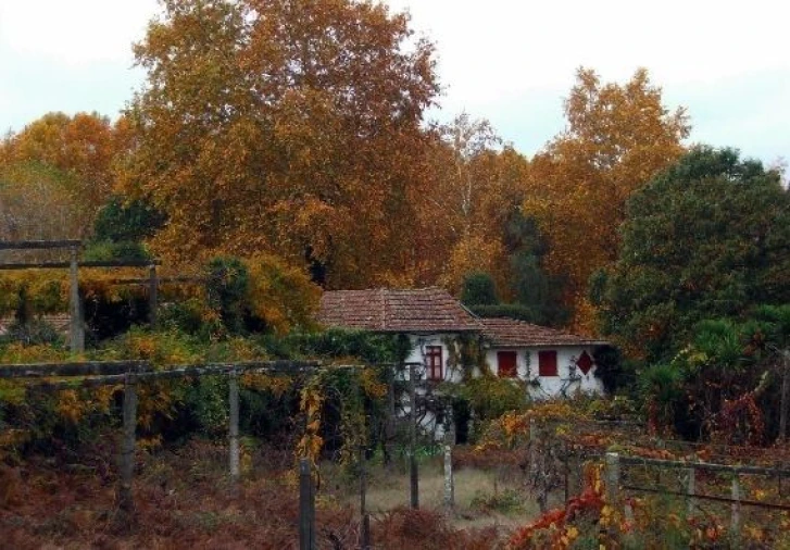 Quinta T2 para Venda em Penafiel Foto 1