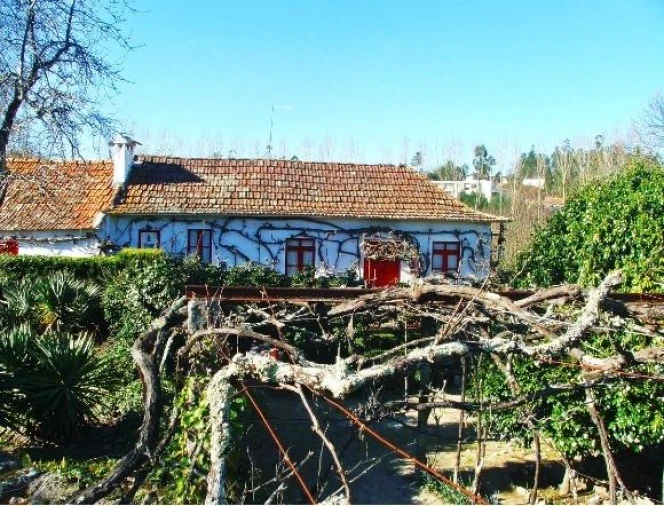 Quinta T2 para Venda em Penafiel Foto 3