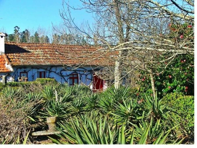 Quinta T2 para Venda em Penafiel Foto 4