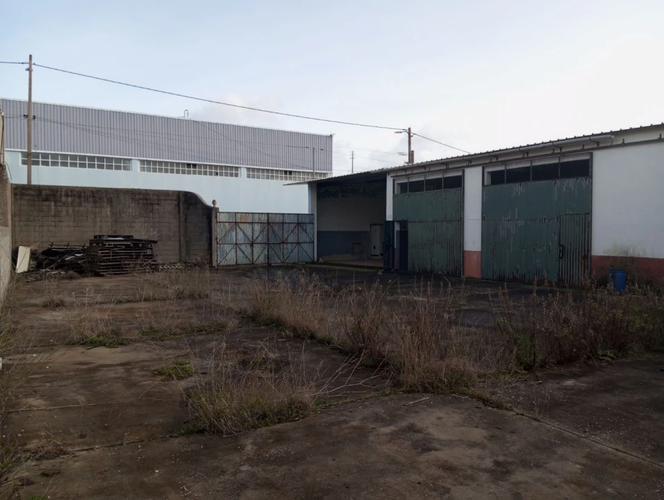 Armazém para Venda em Alcanena e Vila Moreira Foto 6