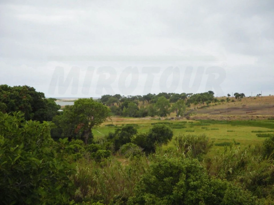 Quinta T2 para Arrendamento em Santo Andre Foto 2