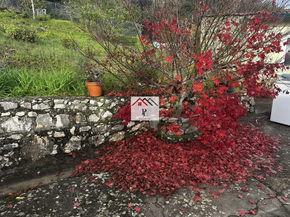 Moradia T3 para Venda em Cernache Foto 39