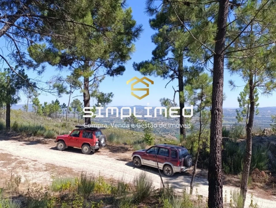 Terreno para Venda em Orjais Foto 15