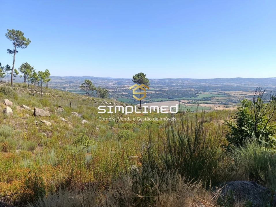 Terreno para Venda em Orjais Foto 2