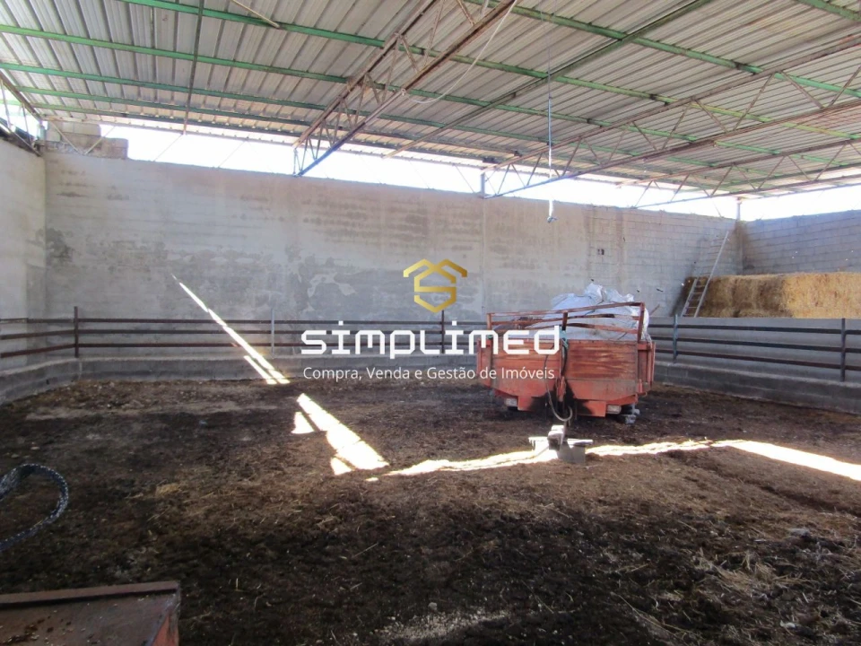 Quinta T0 para Venda em Orjais Foto 30