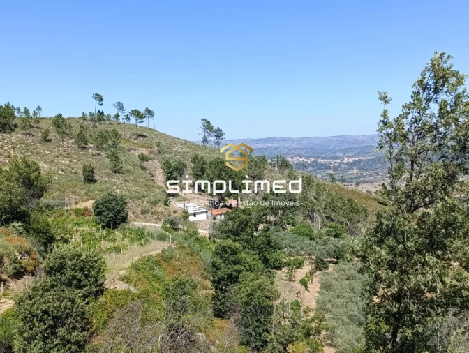 Quinta T2 para Venda em Orjais Foto 49