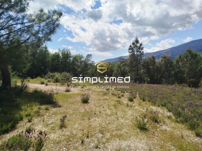 Terreno para Venda em Teixoso e Sarzedo Foto 19