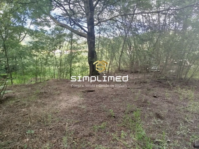 Terreno para Venda em Teixoso e Sarzedo Foto 24