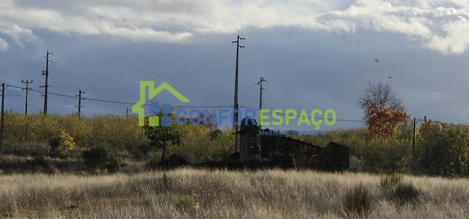 Quinta T0 para Venda em Idanha-A-Nova e Alcafozes Foto 31