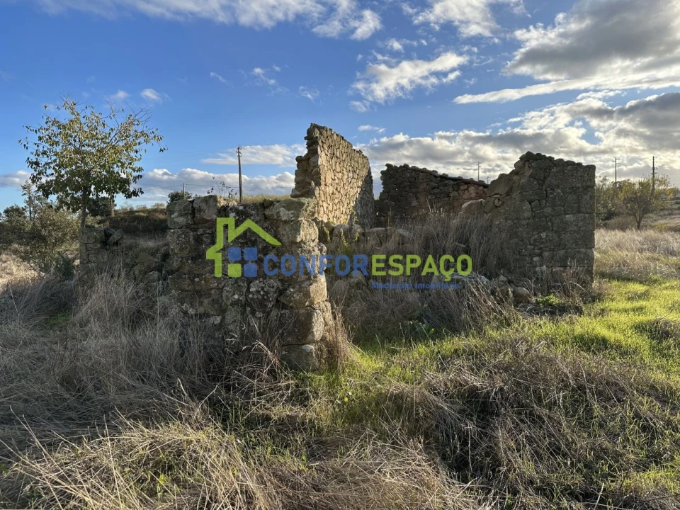 Quinta T0 para Venda em Idanha-A-Nova e Alcafozes Foto 14