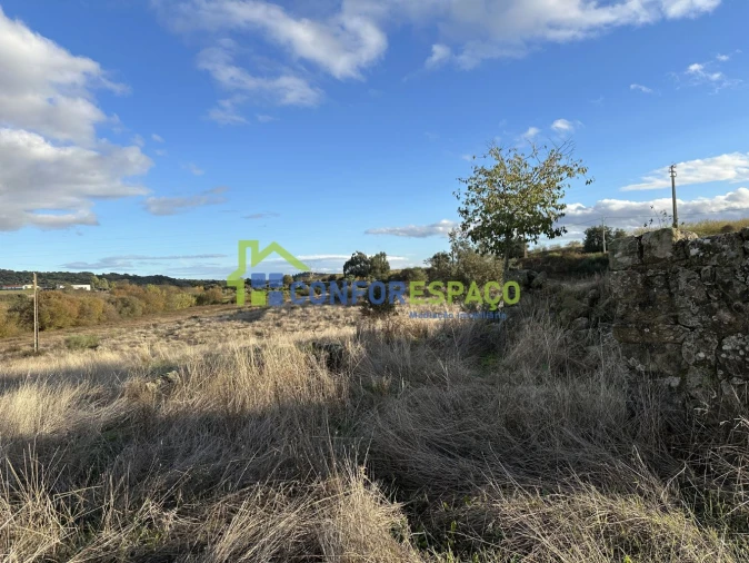 Quinta para Venda em Idanha-A-Nova e Alcafozes Foto 13