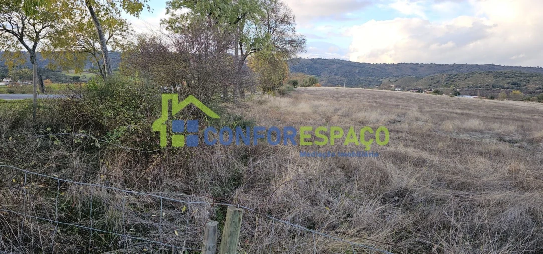 Quinta para Venda em Idanha-A-Nova e Alcafozes Foto 39