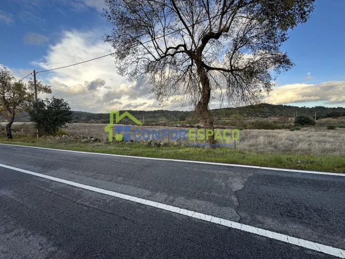 Quinta para Venda em Idanha-A-Nova e Alcafozes Foto 23