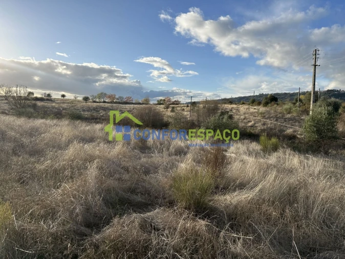 Quinta para Venda em Idanha-A-Nova e Alcafozes Foto 11