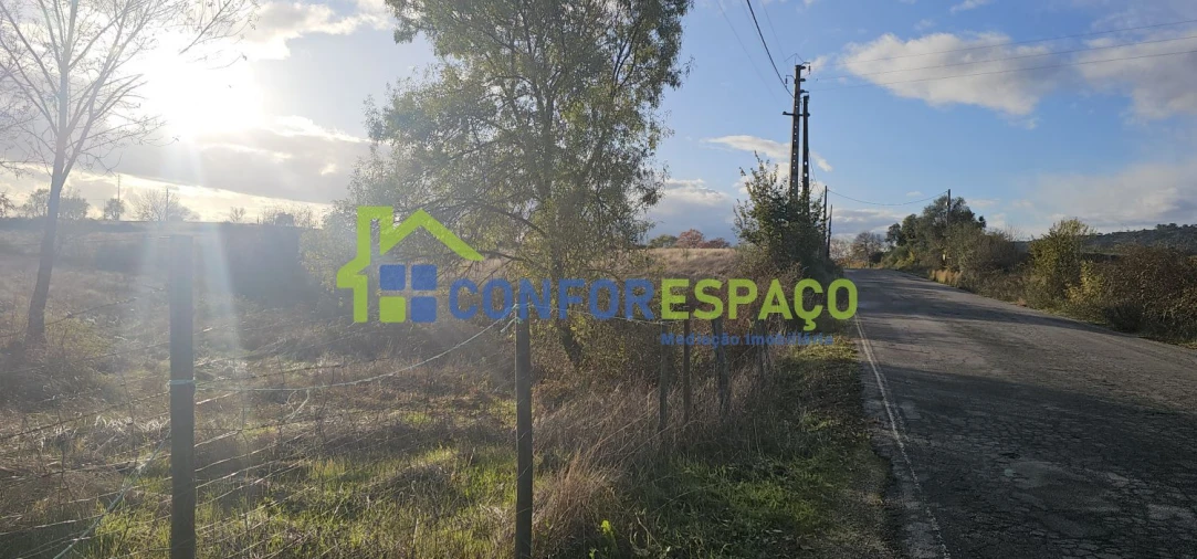 Quinta para Venda em Idanha-A-Nova e Alcafozes Foto 29