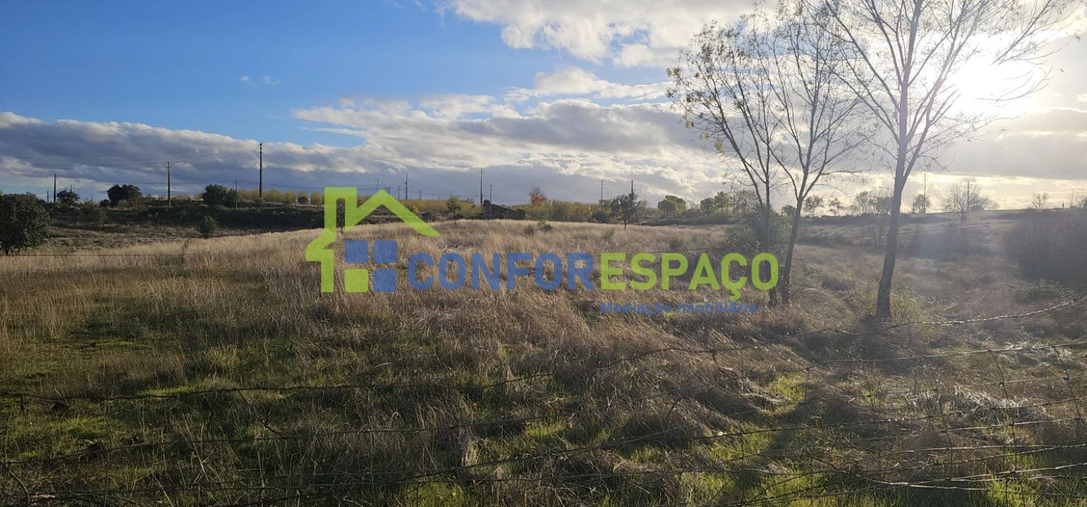 Quinta T0 para Venda em Idanha-A-Nova e Alcafozes Foto 30