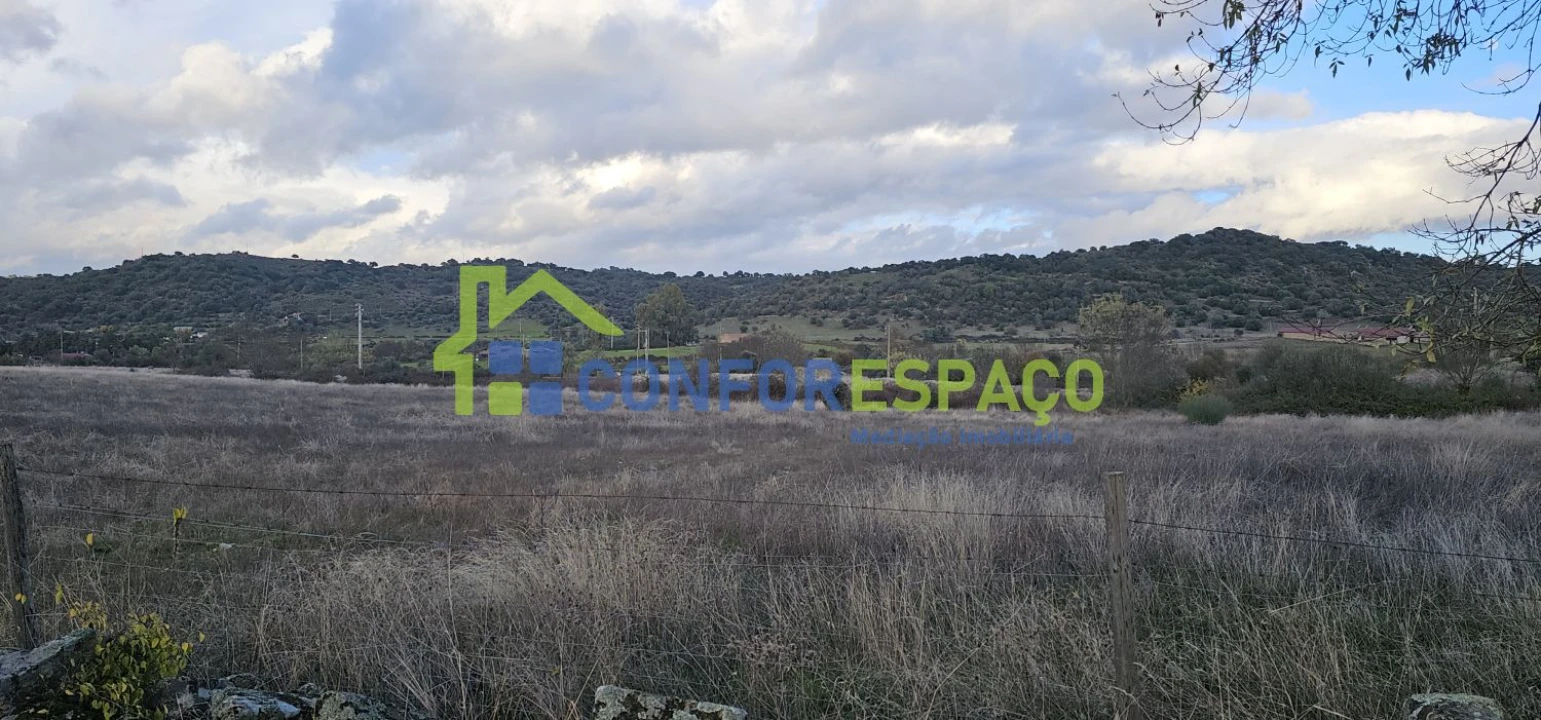 Quinta T0 para Venda em Idanha-A-Nova e Alcafozes Foto 34