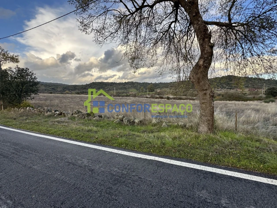 Quinta T0 para Venda em Idanha-A-Nova e Alcafozes Foto 20