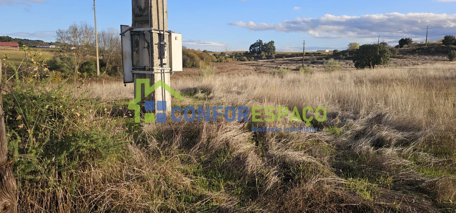 Quinta T0 para Venda em Idanha-A-Nova e Alcafozes Foto 32