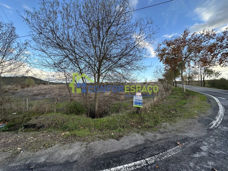 Quinta T0 para Venda em Idanha-A-Nova e Alcafozes Foto 9