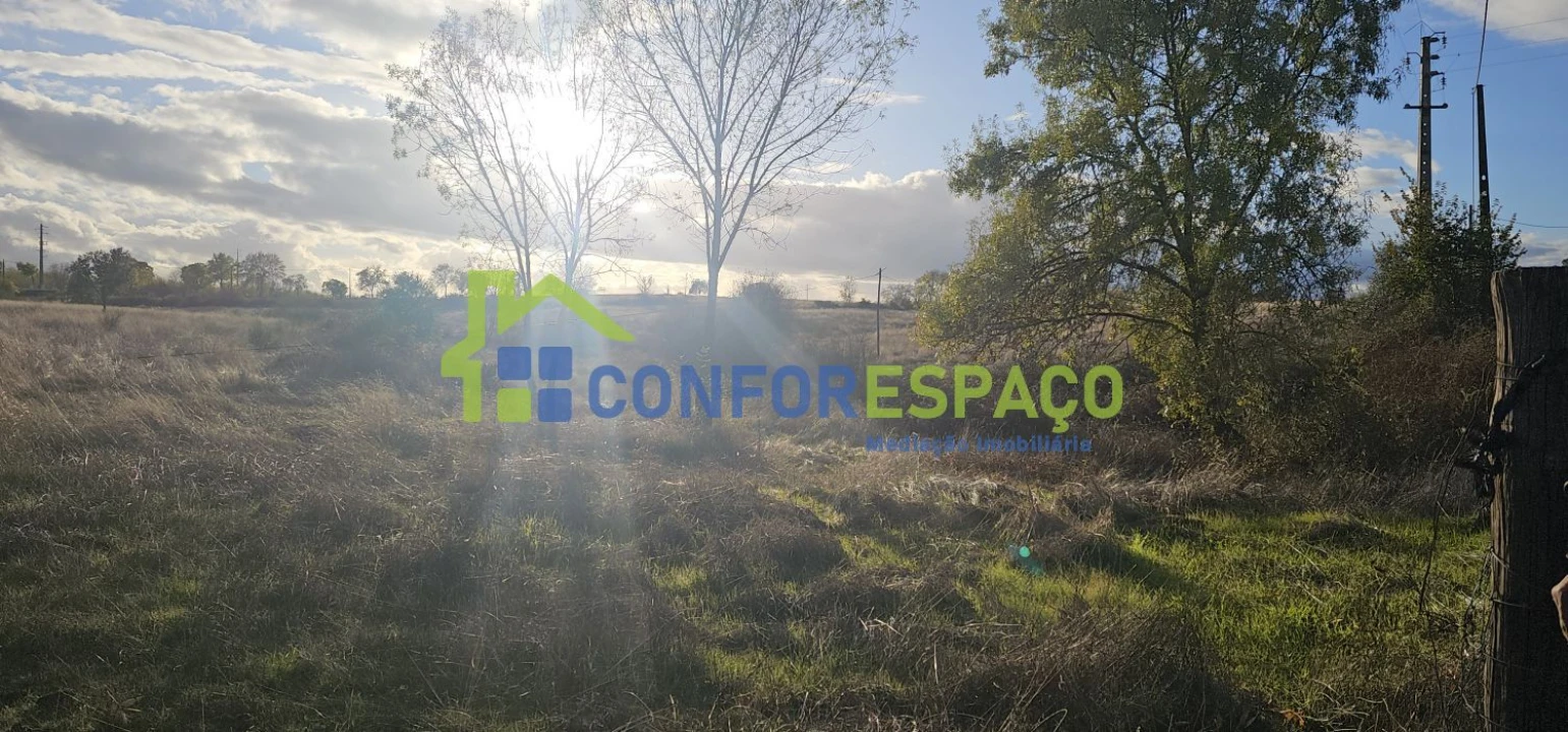 Quinta T0 para Venda em Idanha-A-Nova e Alcafozes Foto 33