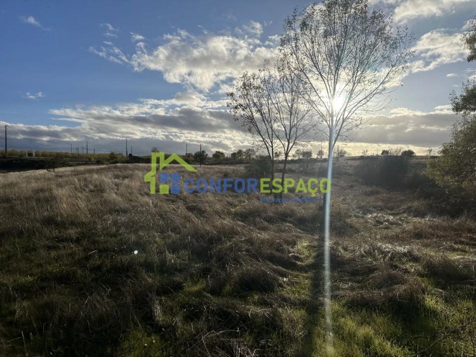 Quinta T0 para Venda em Idanha-A-Nova e Alcafozes Foto 10