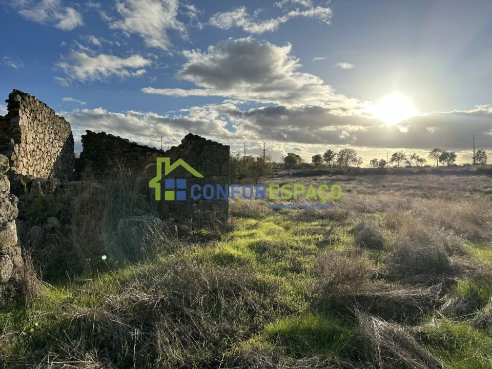 Quinta T0 para Venda em Idanha-A-Nova e Alcafozes Foto 15