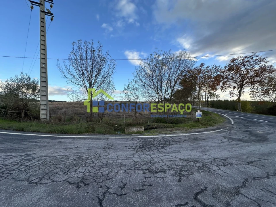 Quinta T0 para Venda em Idanha-A-Nova e Alcafozes Foto 21