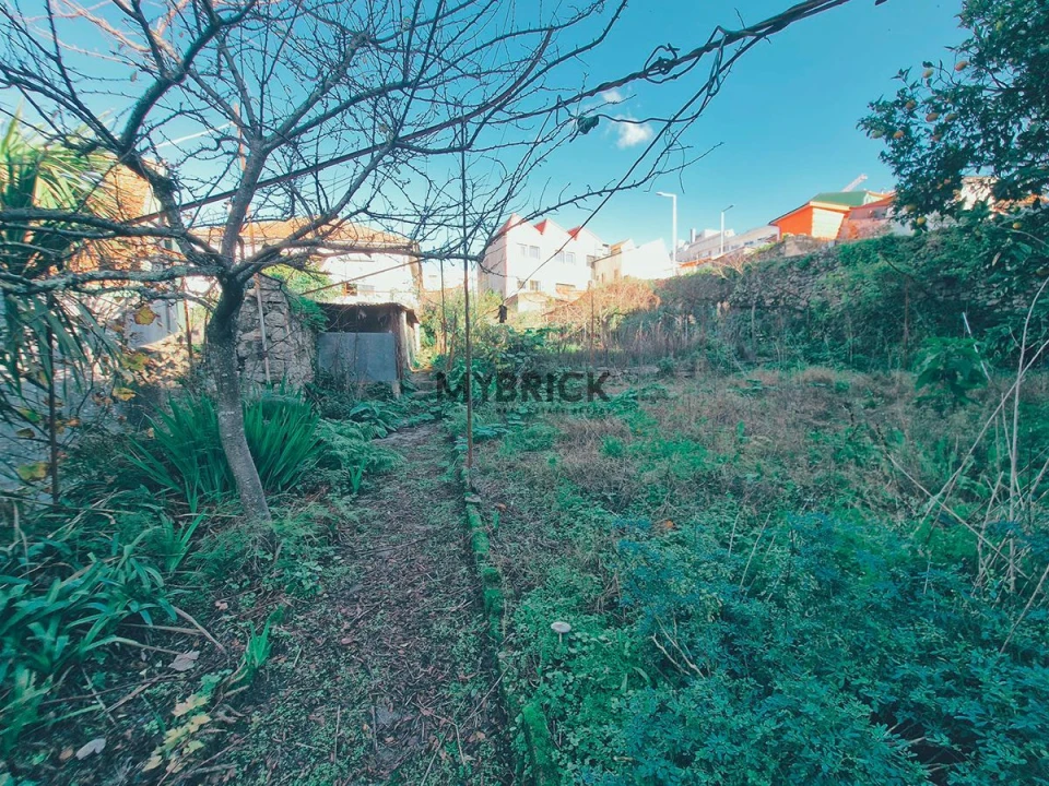 Terreno para Venda em Paranhos Foto 14