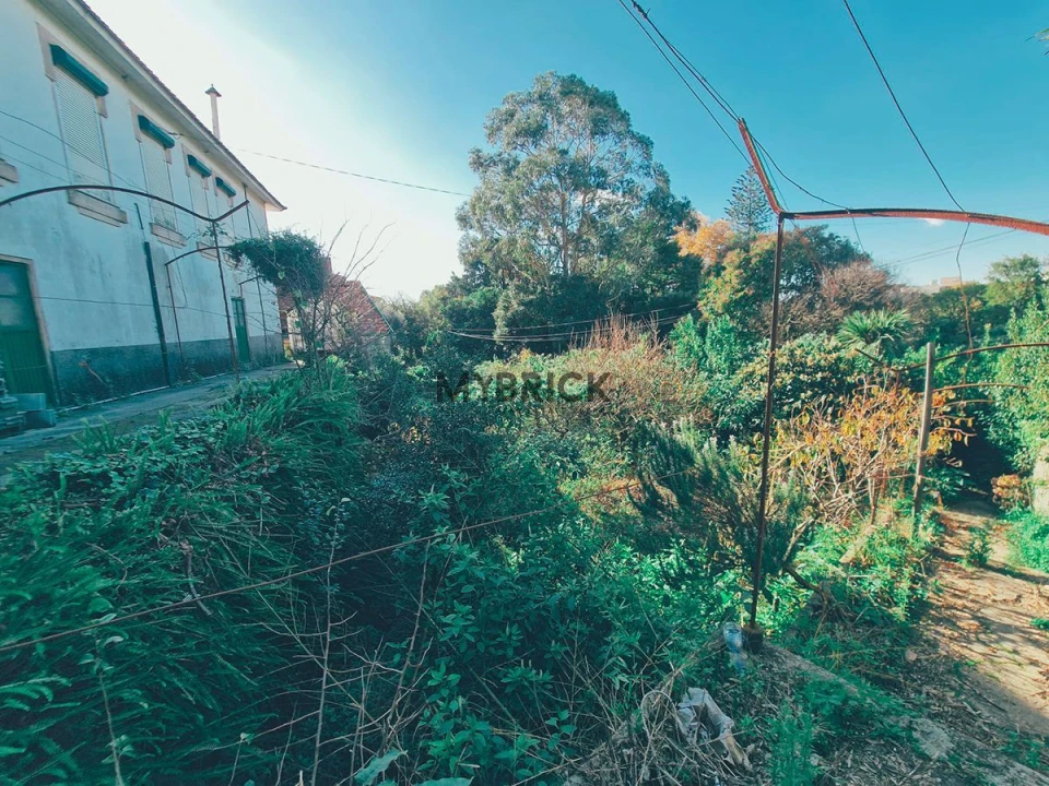 Terreno para Venda em Paranhos Foto 7