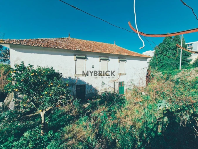 Terreno para Venda em Paranhos Foto 23