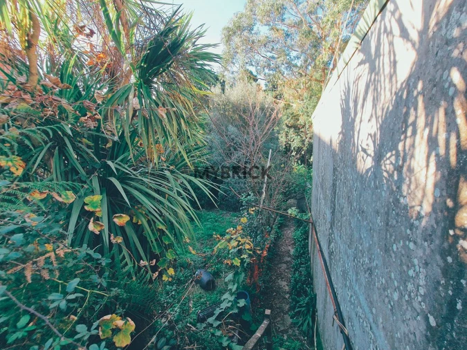 Terreno para Venda em Paranhos Foto 16