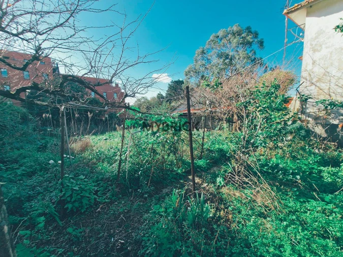 Terreno para Venda em Paranhos Foto 18