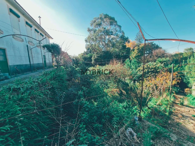 Terreno para Venda em Paranhos Foto 7