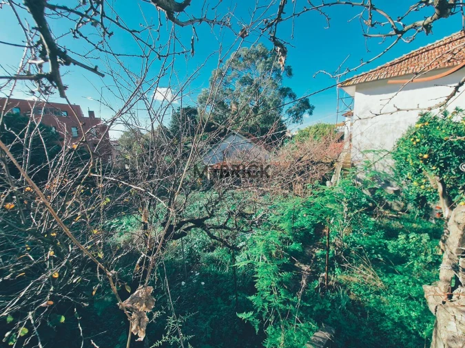 Terreno para Venda em Paranhos Foto 26